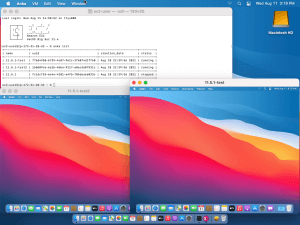 veertu desktop crashes 2 network cards veertu desktop crashes 2 network cards